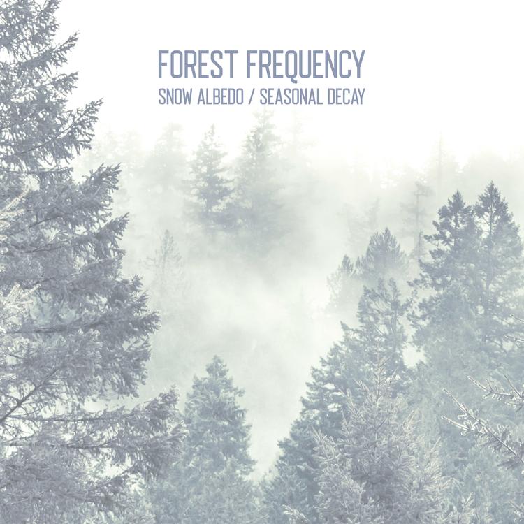 Forest Frequency's avatar image