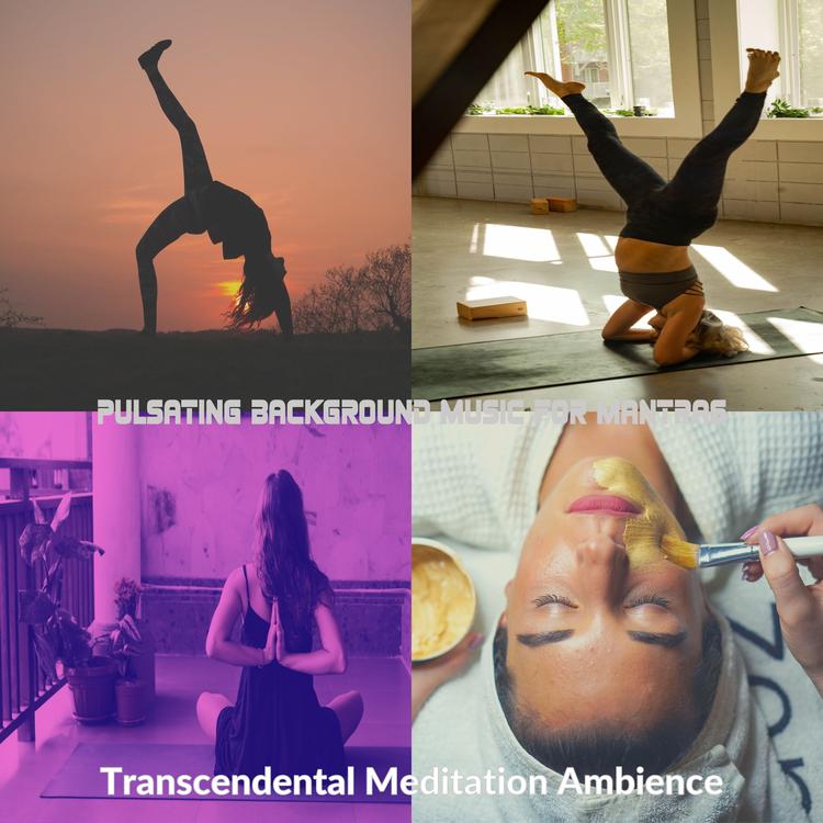 Transcendental Meditation Ambience's avatar image