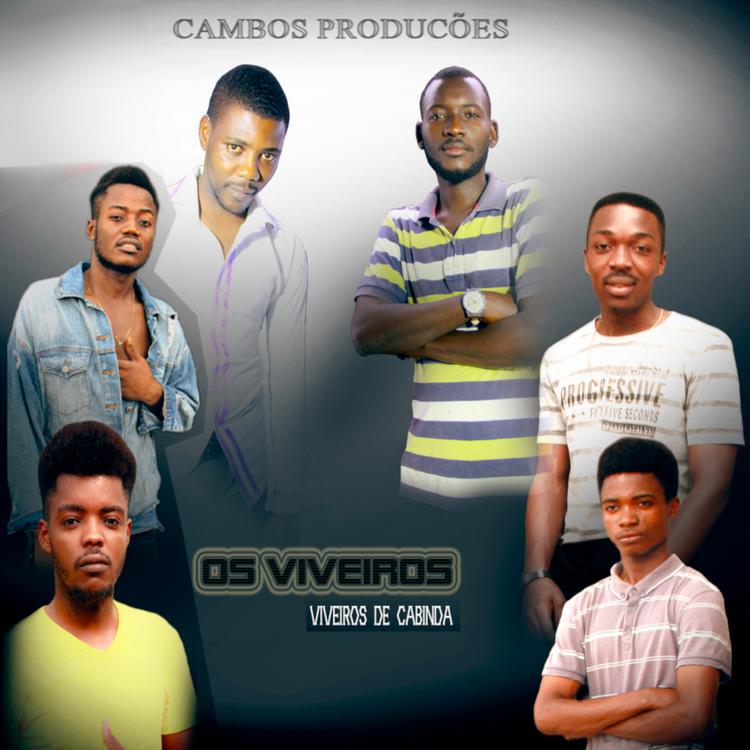 Viveiros de Cabinda's avatar image