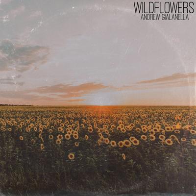 Wildflowers By Andrew Gialanella's cover