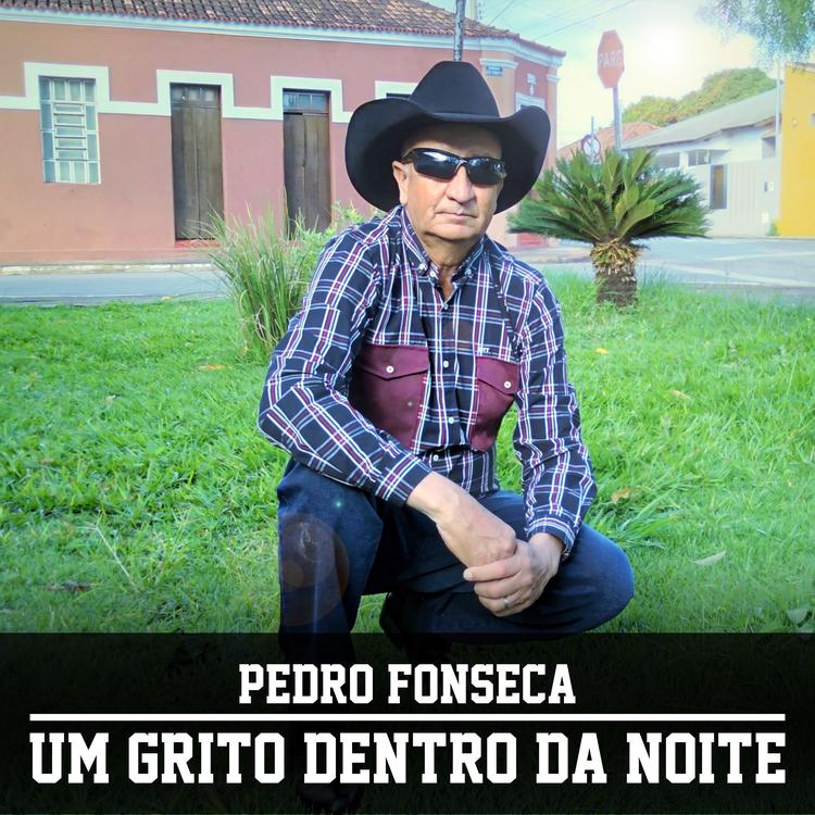 Pedro Fonsêca's avatar image