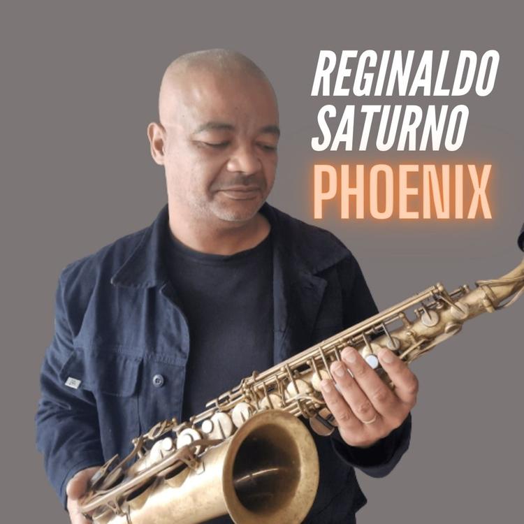 Reginaldo Saturno's avatar image