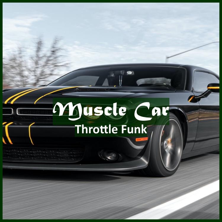 Throttle Funk's avatar image