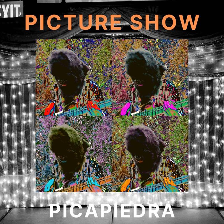 Picapiedra's avatar image