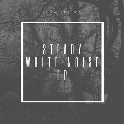 Steady White Noise By Inscription's cover