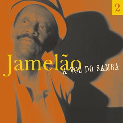 A Voz Do Samba (Disco  02)'s cover