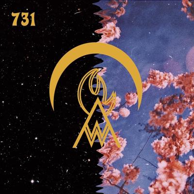 731 By Firehill Wanderers's cover