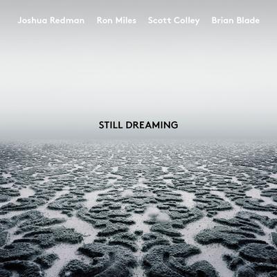 The Rest (feat. Ron Miles, Scott Colley & Brian Blade) By Joshua Redman, Brian Blade, Ron Miles, Scott Colley's cover