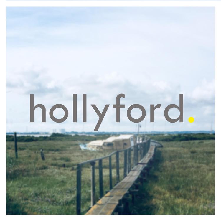 Hollyford's avatar image