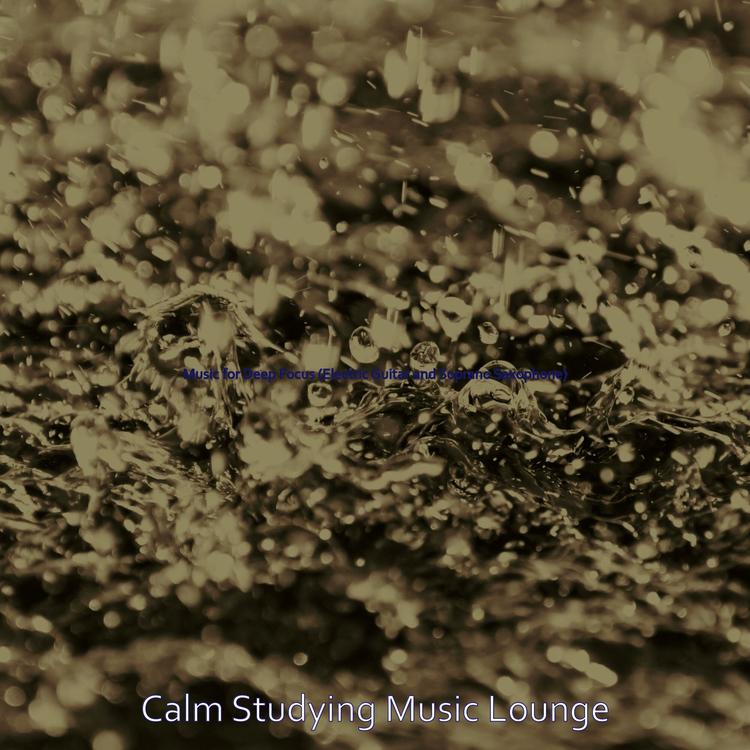 Calm Studying Music Lounge's avatar image