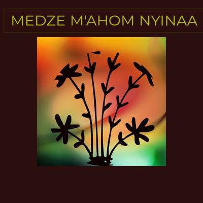 Medze M'ahom Nyinaa's cover