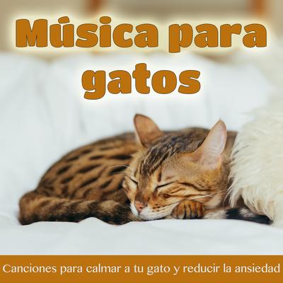 Canción de Gato Para una Noche Tranquila By Cat Music Dreams, RelaxMyCat's cover