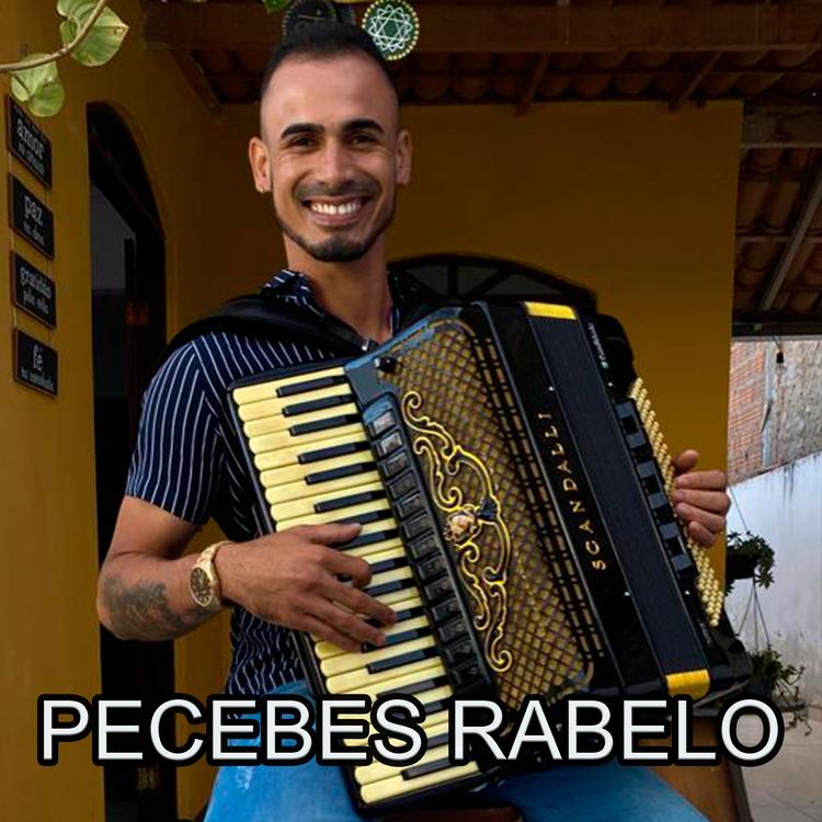 PECEBES RABELO's avatar image