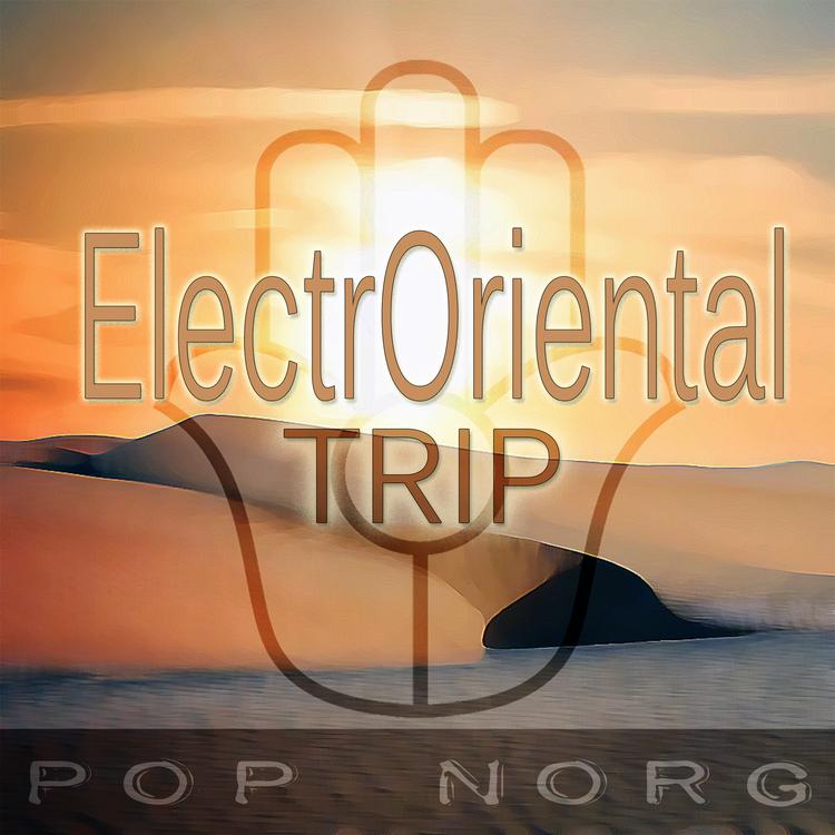 Pop Norg's avatar image