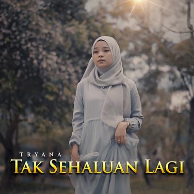 Tak Sehaluan Lagi's cover