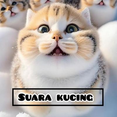 Kucing's cover