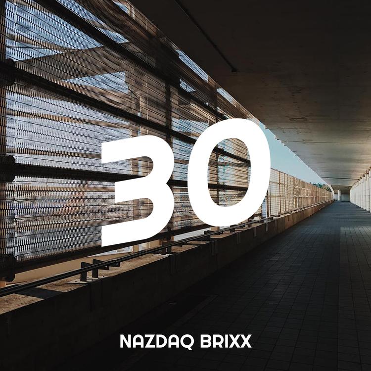 Nazdaq Brixx's avatar image