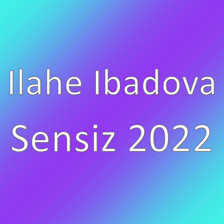 Ilahe Ibadova's avatar image