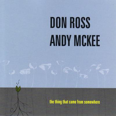 Rylynn By Don Ross, Andy McKee's cover