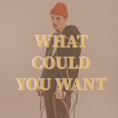 What Could You Want By Ryan Bauer's cover