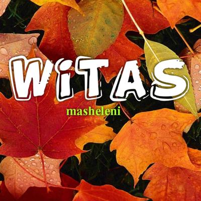 Witas's cover