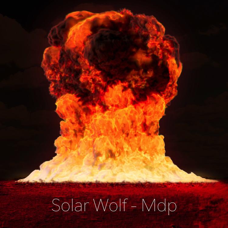 Solar Wolf's avatar image