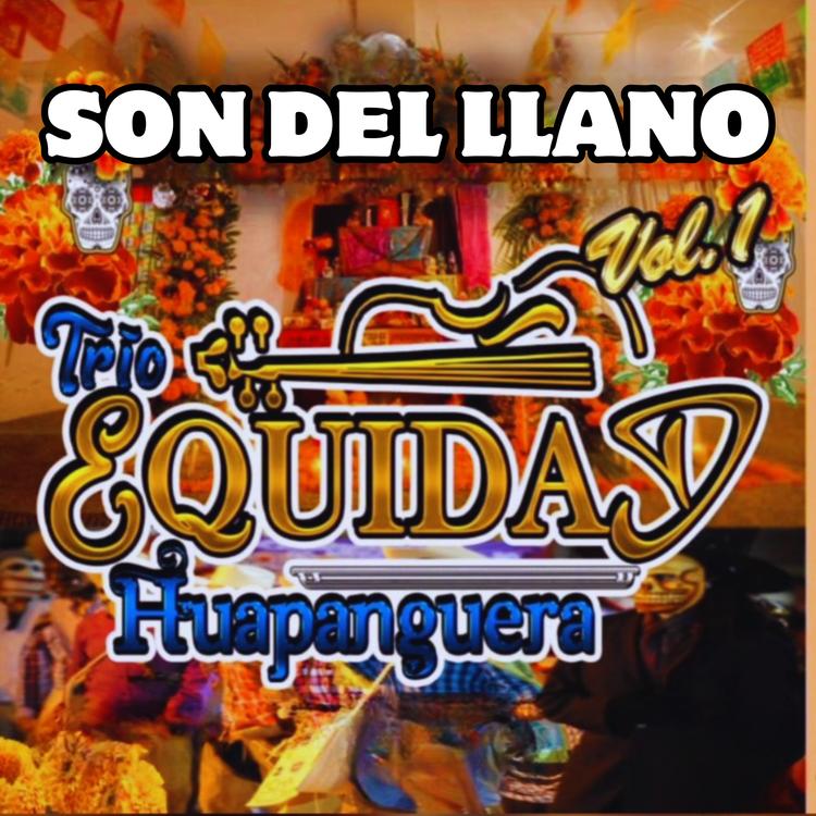 TRIO EQUIDAD HUAPANGUERA's avatar image