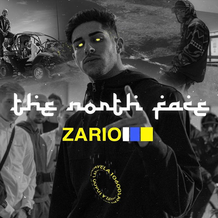 Zario's avatar image