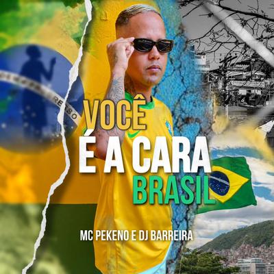 Você É a Cara do Brasil By Mc Pekeno, Dj Barreira's cover