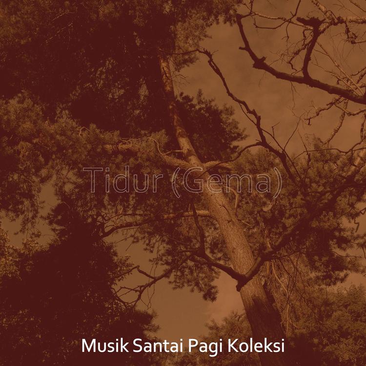 Musik Santai Pagi Koleksi's avatar image