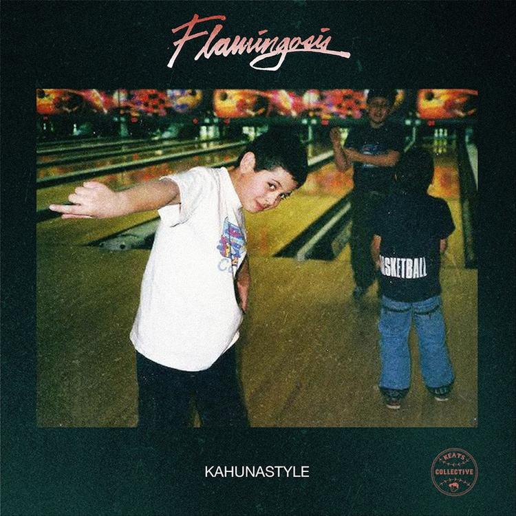 Flamingosis's avatar image