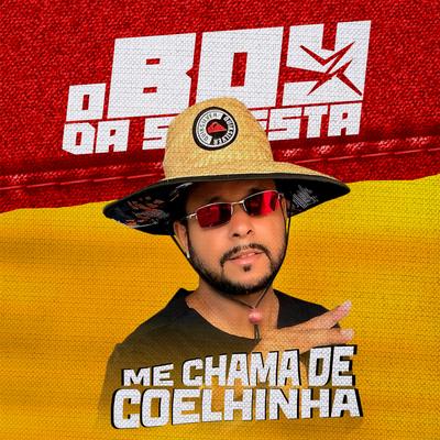 Me Chama de Coelhinha (feat. Mc Coelhinha) (feat. Mc Coelhinha) By O Boy da Seresta, Mc Coelhinha's cover