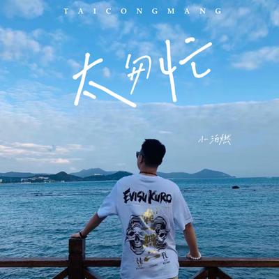 太匆忙's cover