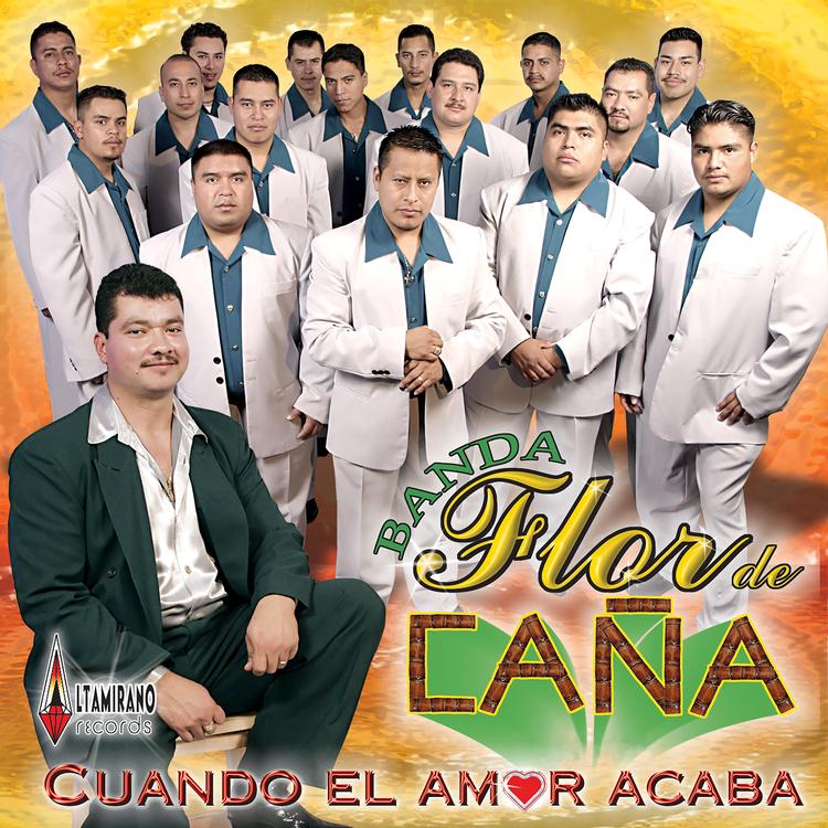 Banda Flor De Cana's avatar image