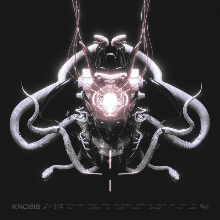 Knosis's avatar image