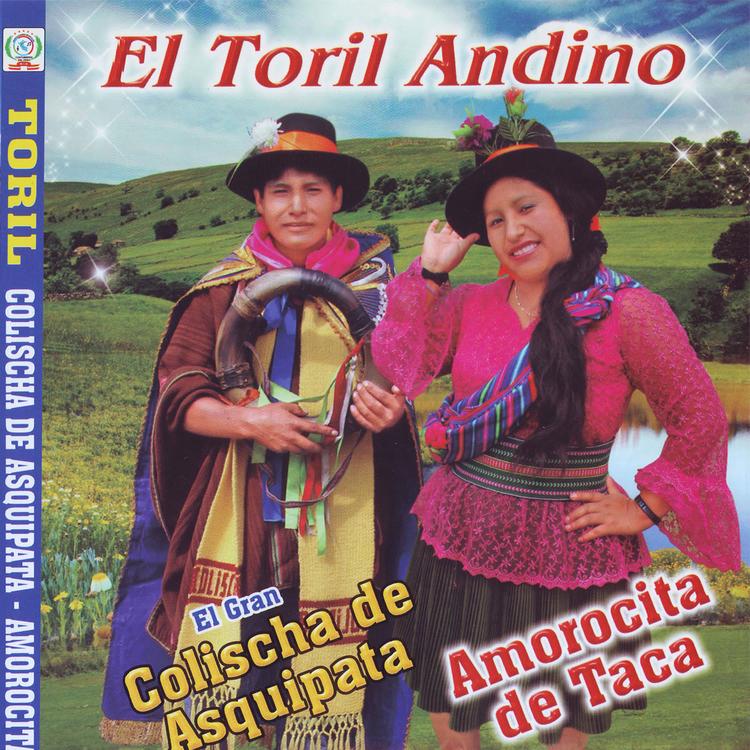 AMOSITA DE TACA|COLISCHA DE ASQUIPATA|ARPA Y VIOLIN's avatar image