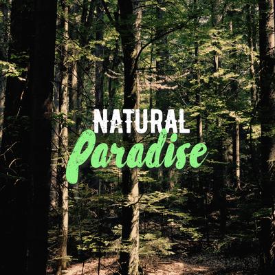 100% Stream By Nature Sounds's cover