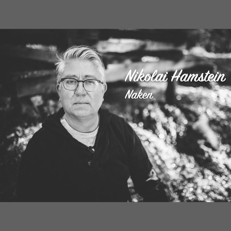 Nikolai Hamstein's avatar image