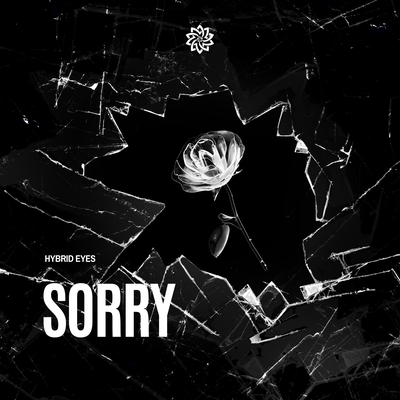 Sorry By Hybrid Eyes's cover
