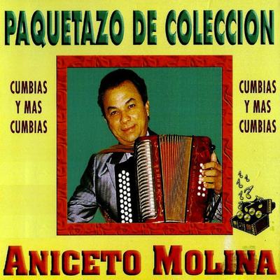 Paquetazo De Coleccion - Cumbias y Mas Cumbias's cover