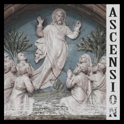 Ascension By KSLV Noh, Cowbell Christ's cover