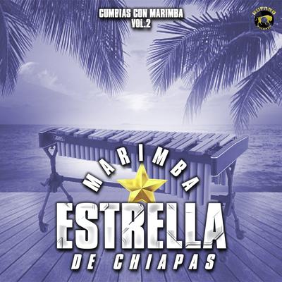 Cumbias Con Marimba, Vol.2's cover