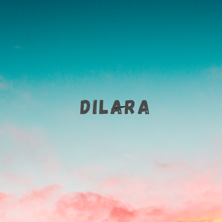 Dilara's avatar image