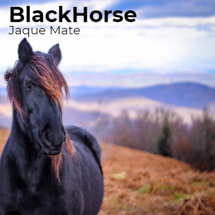 Blackhorse's avatar image