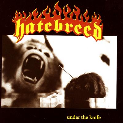 Smash Your Enemies By Hatebreed's cover