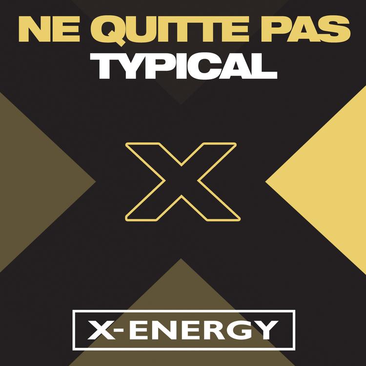 Ne Quitte Pas's avatar image