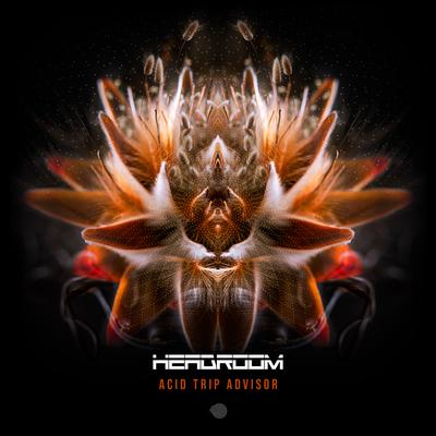 Simulation Stimulation By Headroom (SA)'s cover