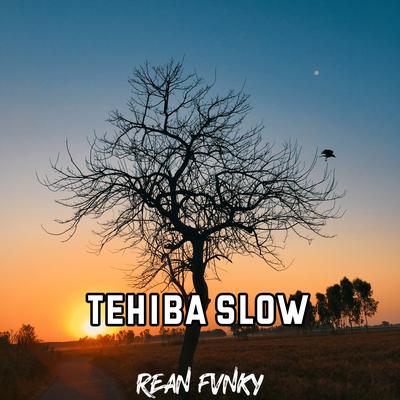 Tehiba Slow (Remix)'s cover