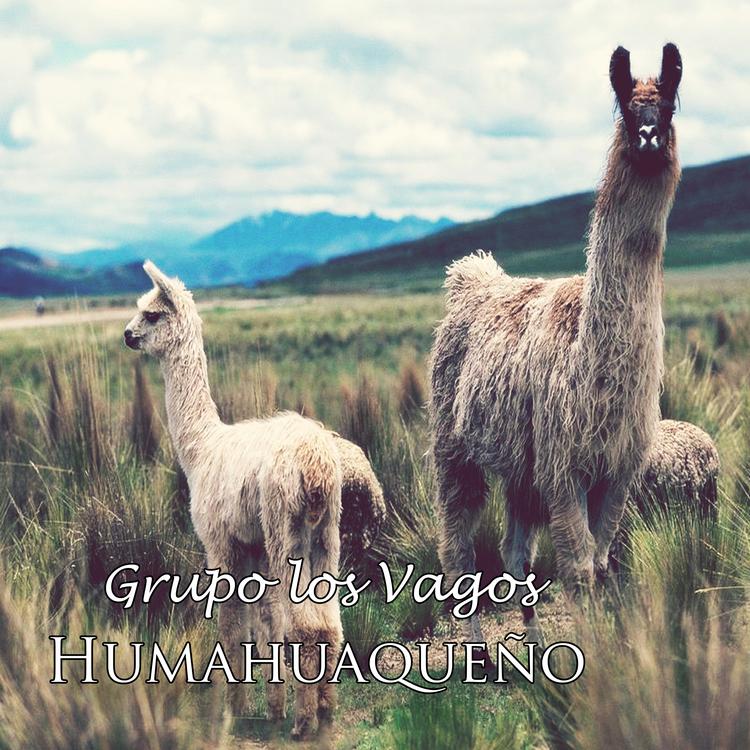 Grupo Los Vagos's avatar image