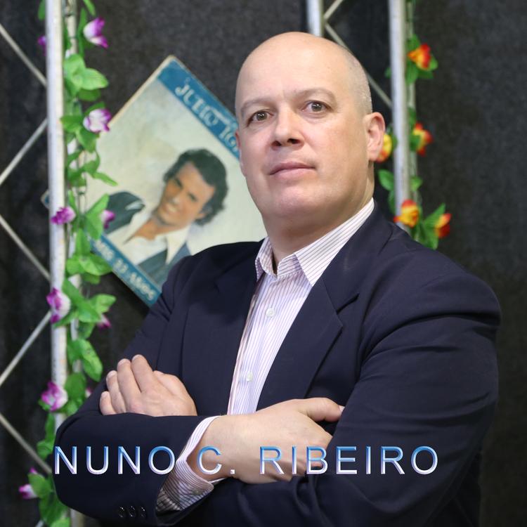 Nuno C. Ribeiro's avatar image